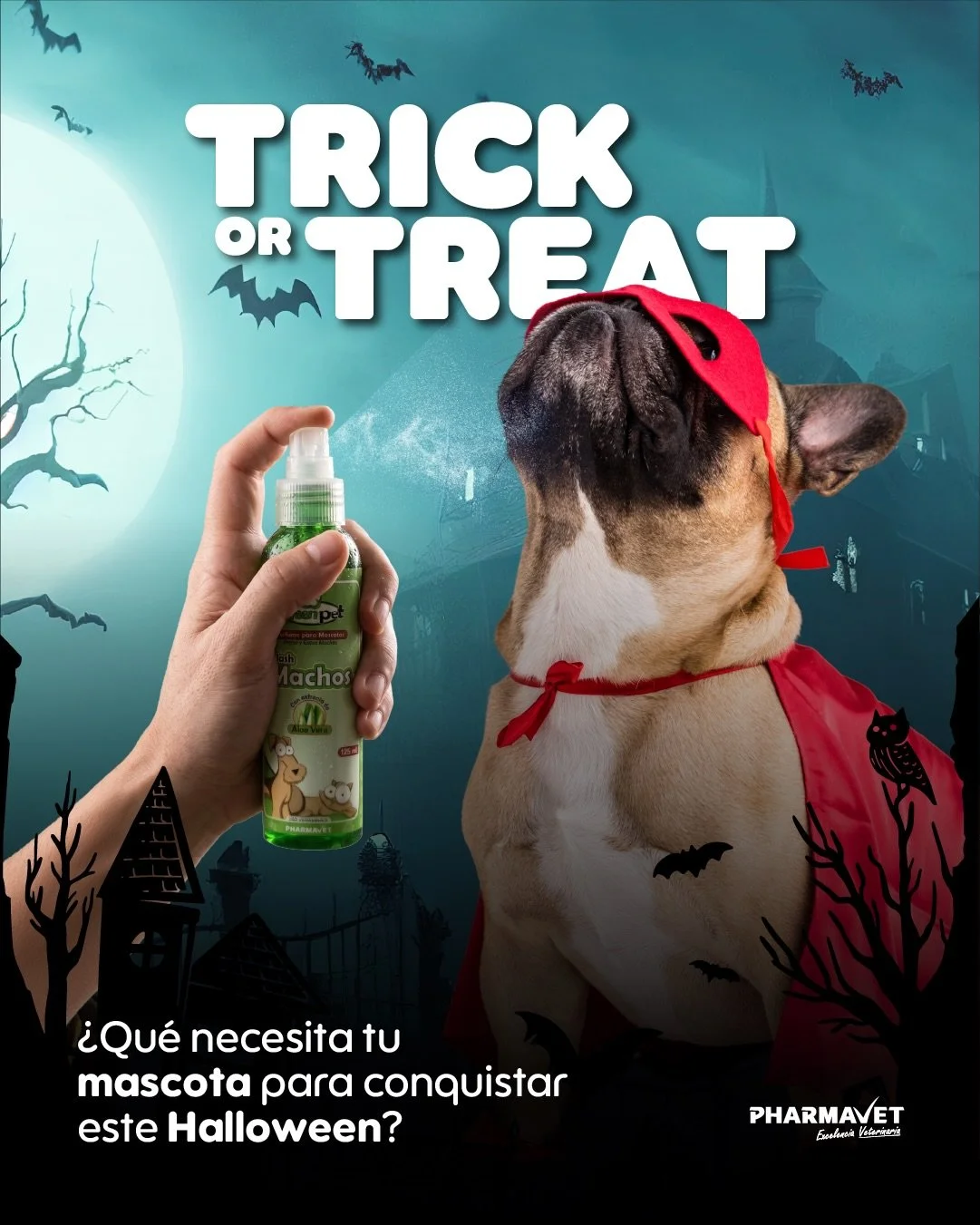 🎃🐾 Este Halloween, que tu peludo robe miradas y conquiste con su aroma. 👻✨

💦 Splash Greenpet para cachorros, hembras y machos. &iexcl;El toque perfecto para estar terror&iacute;ficamente irresistible!

🐶 comp&aacute;rtenos la foto de tu mascota