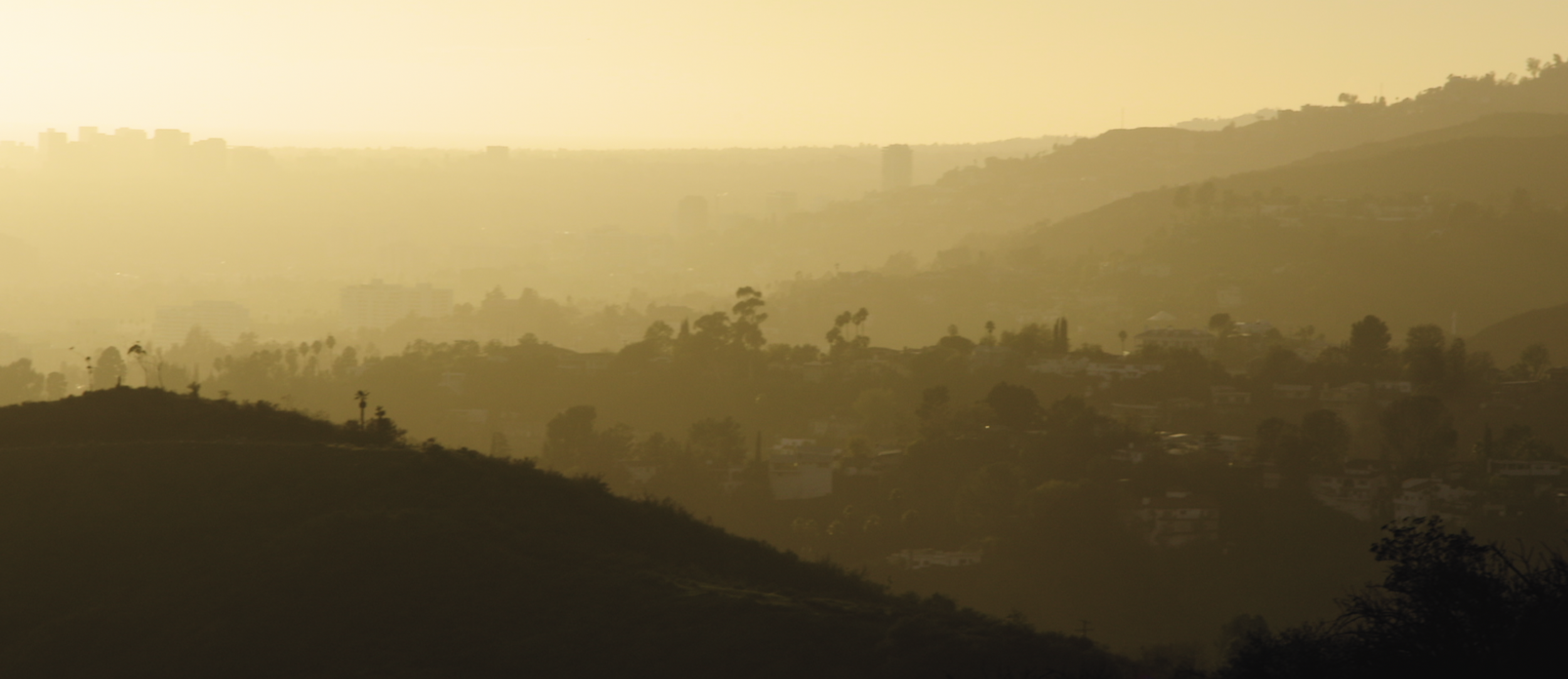 Hyatt - The Designers