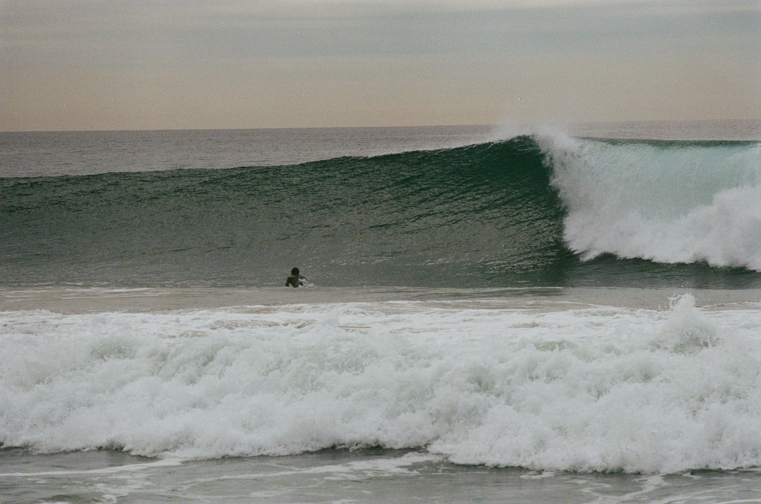 wave web.jpg