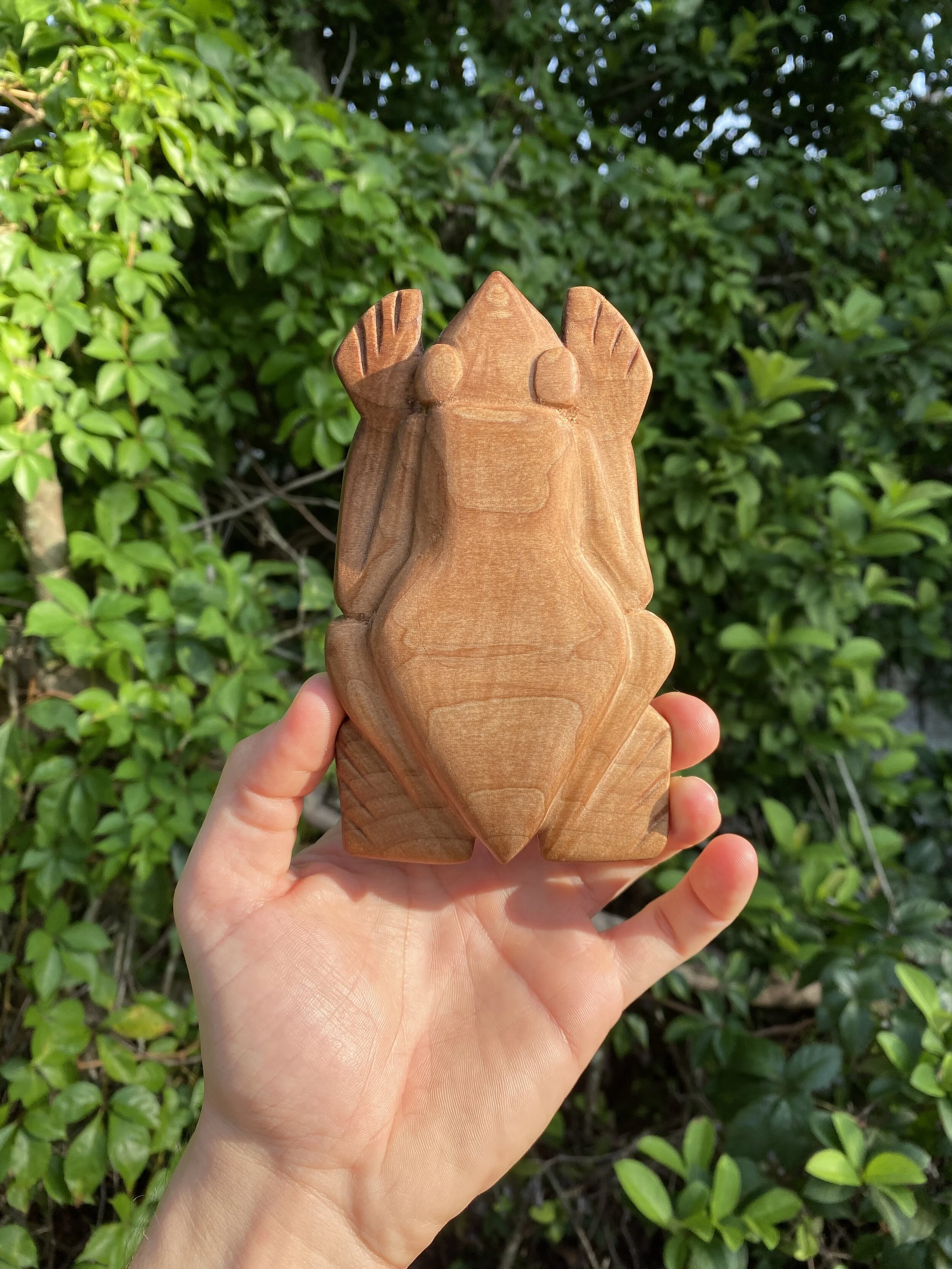 The Patient Little Frog