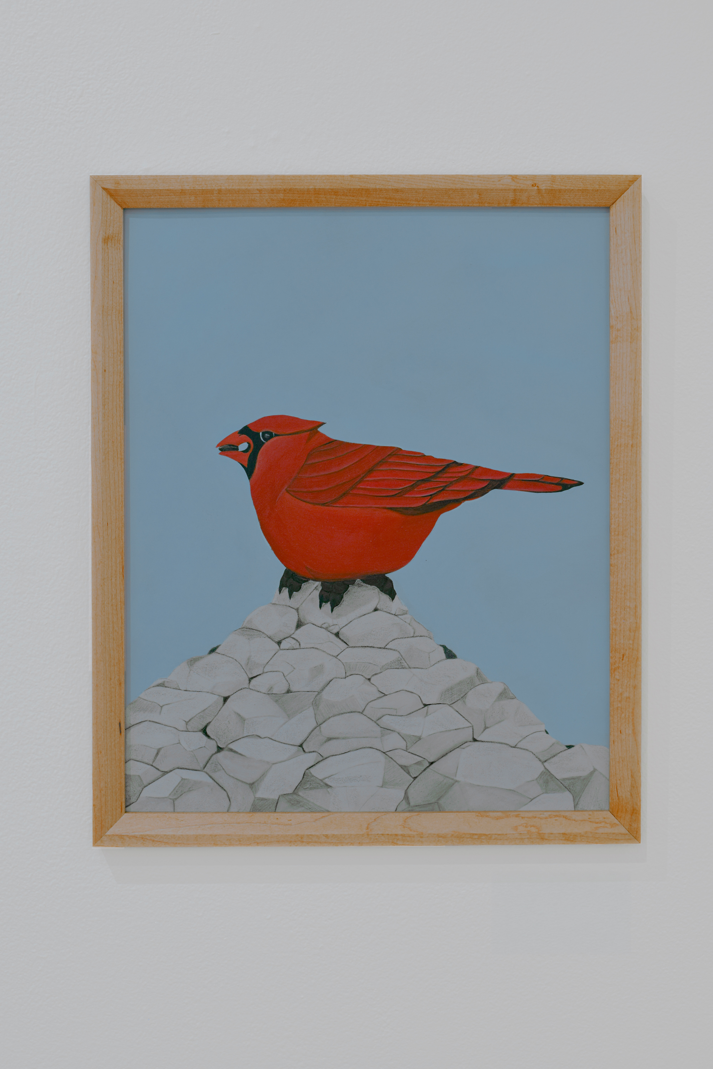 Redbird