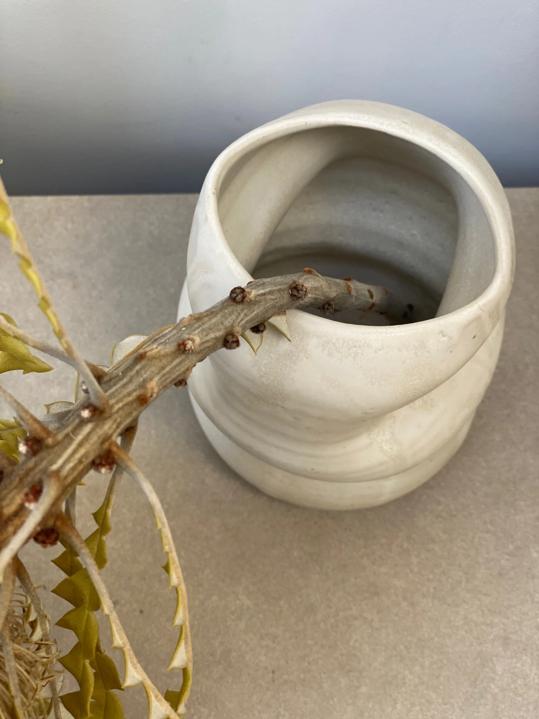 B6950368-2A5C-4DBF-9799-87DA2B89D19E