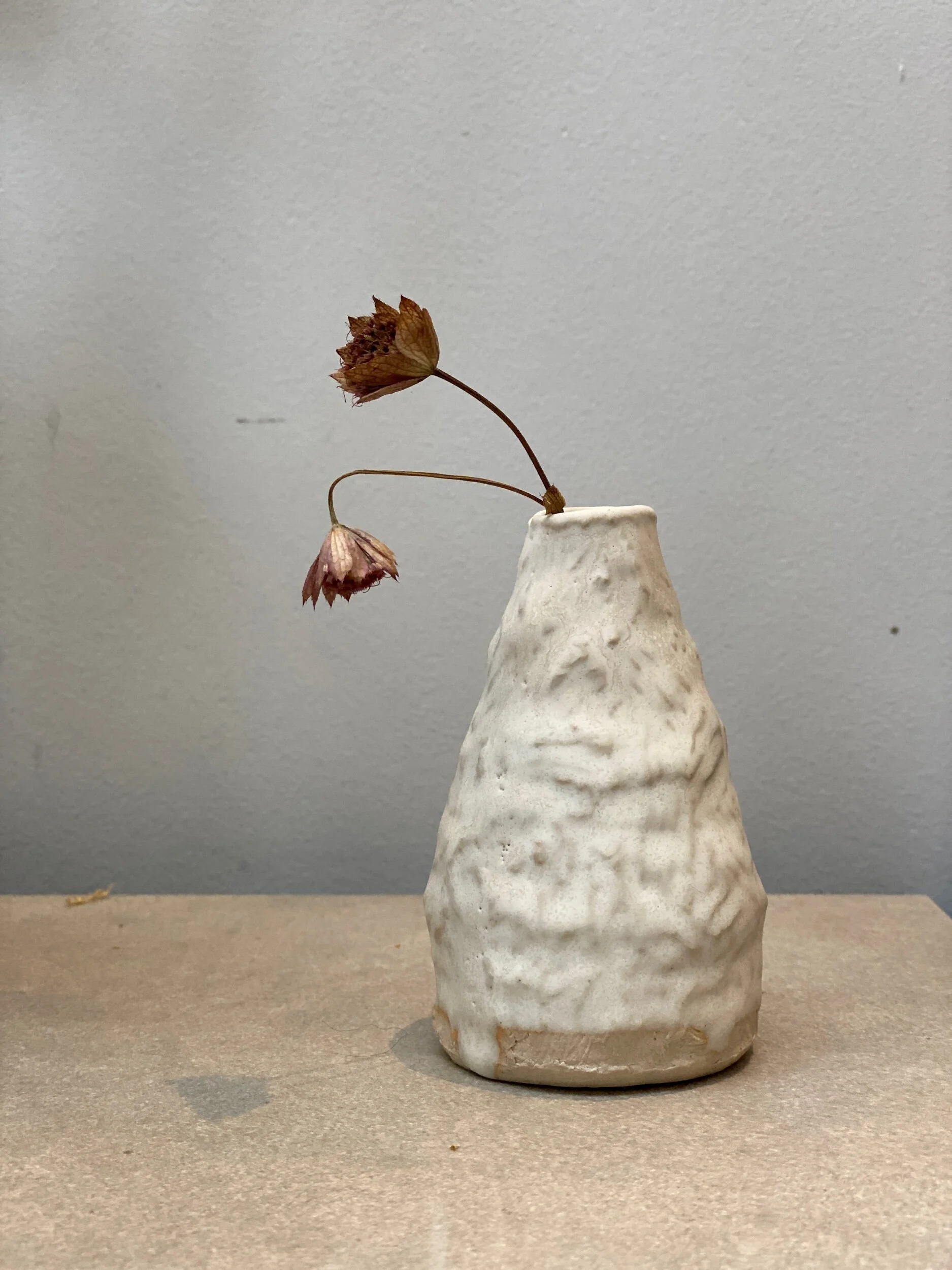 74750003-4702-4AE1-8F8D-D1D2FFD1EC53