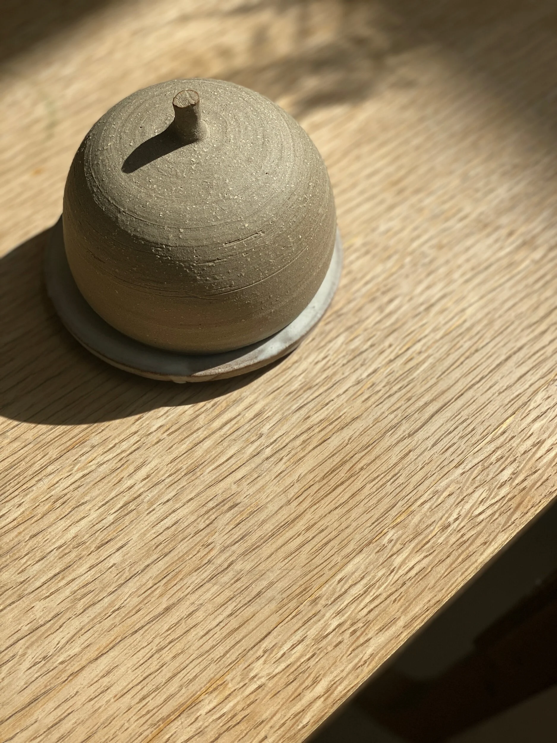 AE9B011E-D25C-4EDC-B567-19F7B90BE2F4