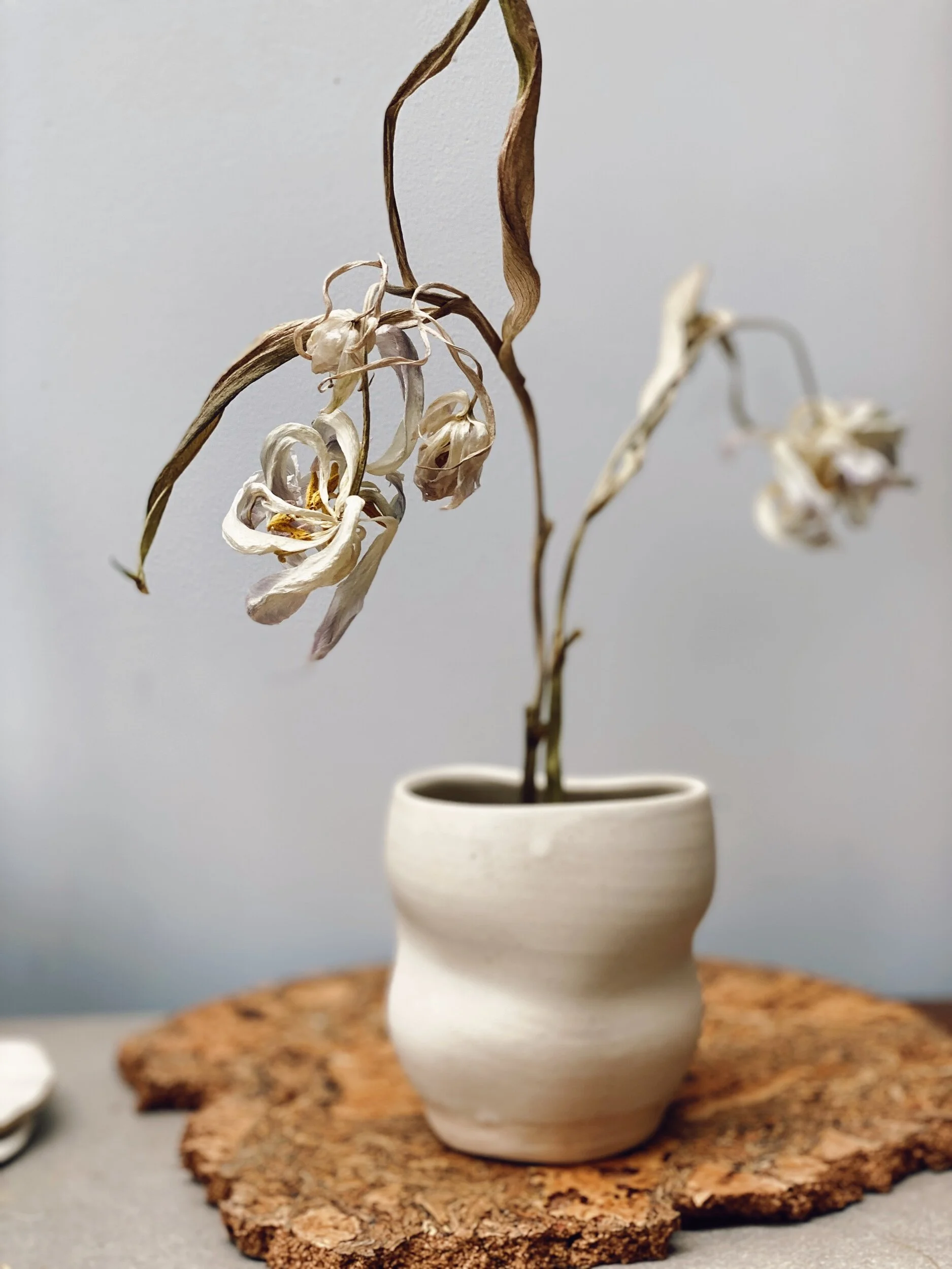 E21CC878-5931-4A82-AEAF-453DE366ECF7