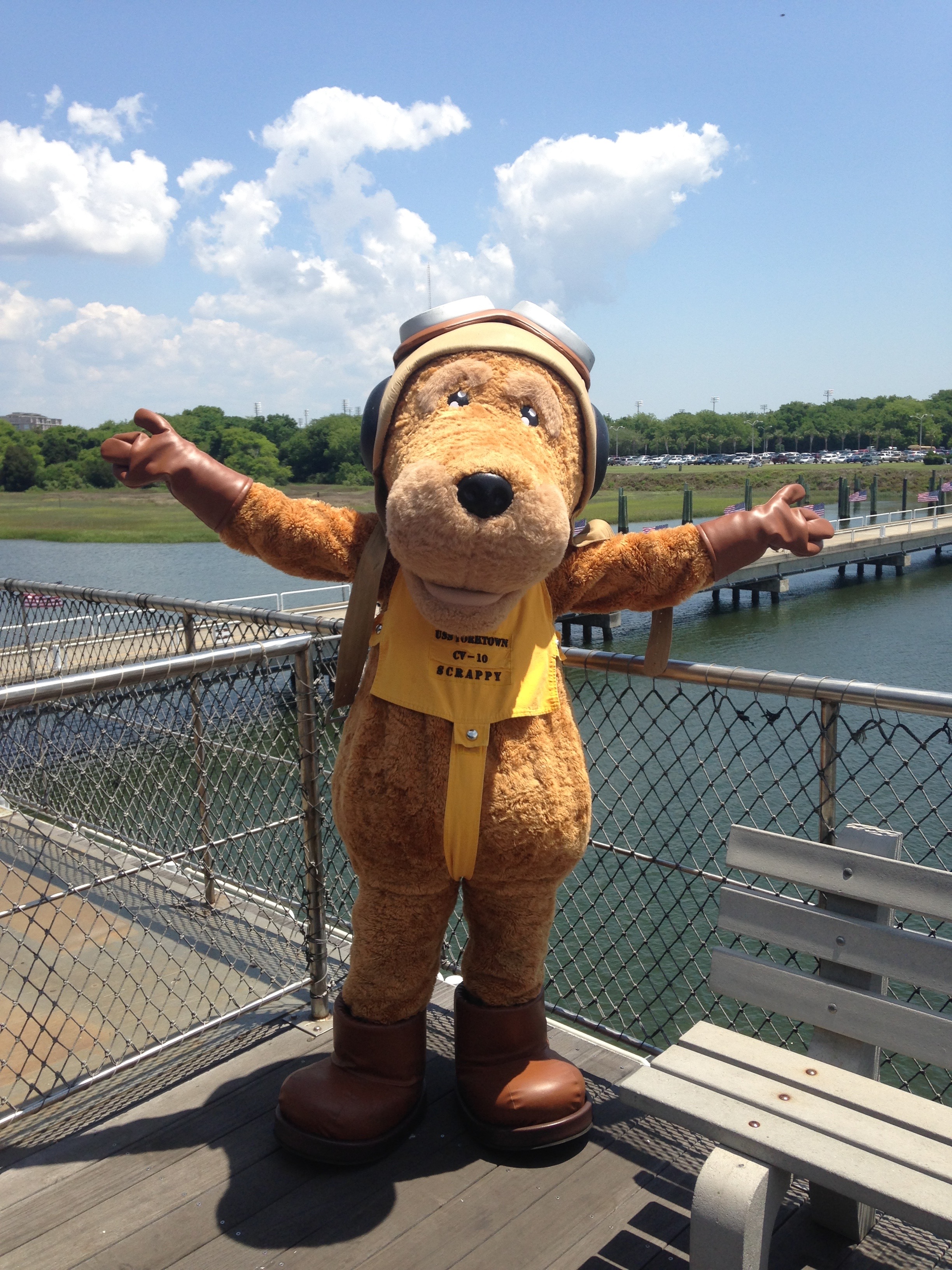 The Dog Who Taught Me Obedience...And Other Lessons