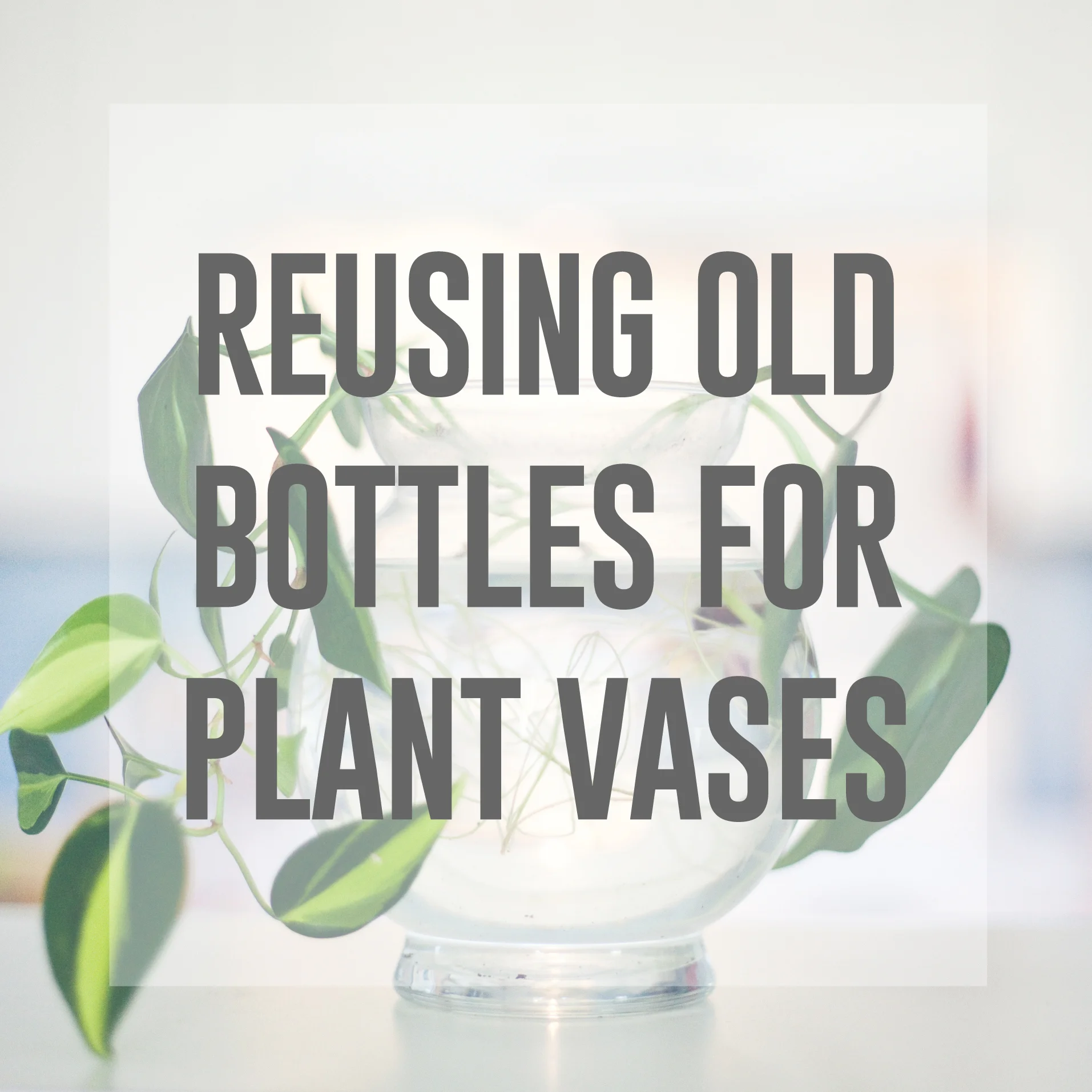 Reusing old bottles for vases