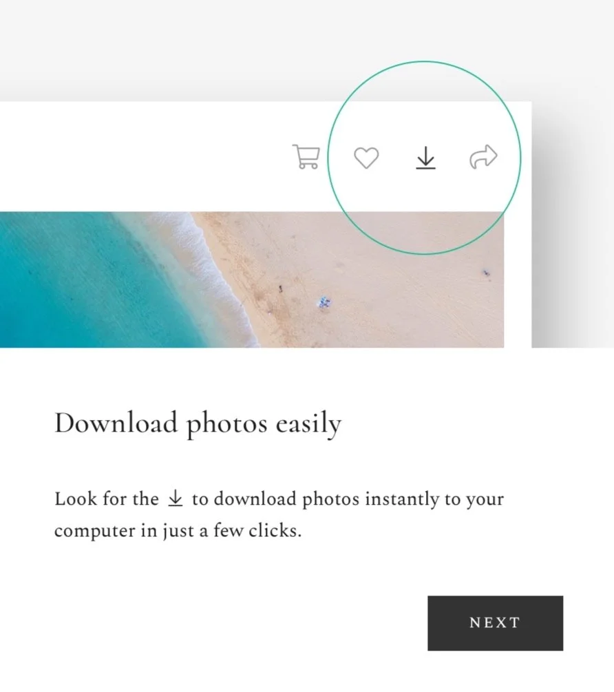 How-To Download Your Photos From Your Online Gallery