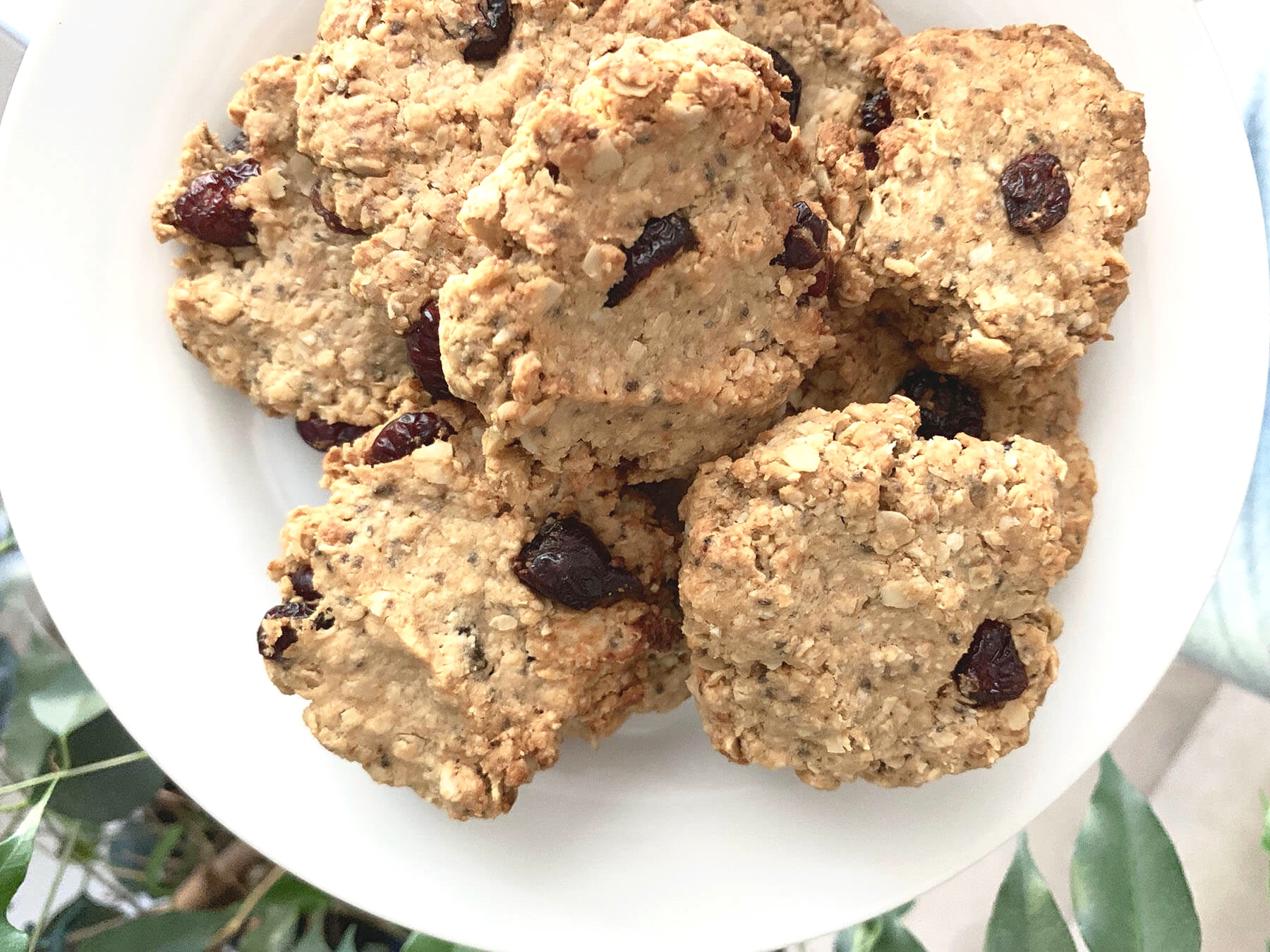 healthier oatmeal cookies- eat and bloom.jpg