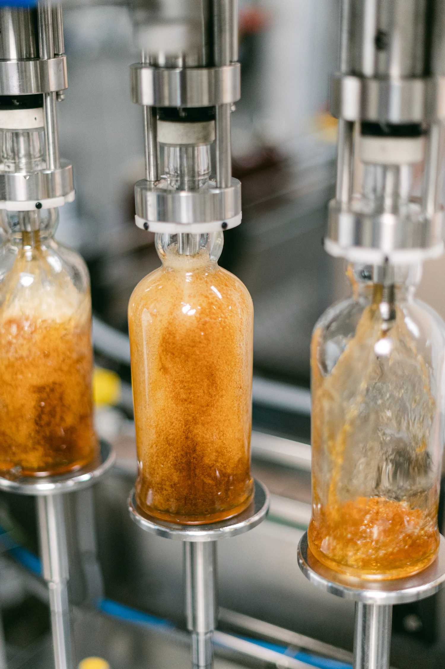 Bottling & Labelling — Young Spirits