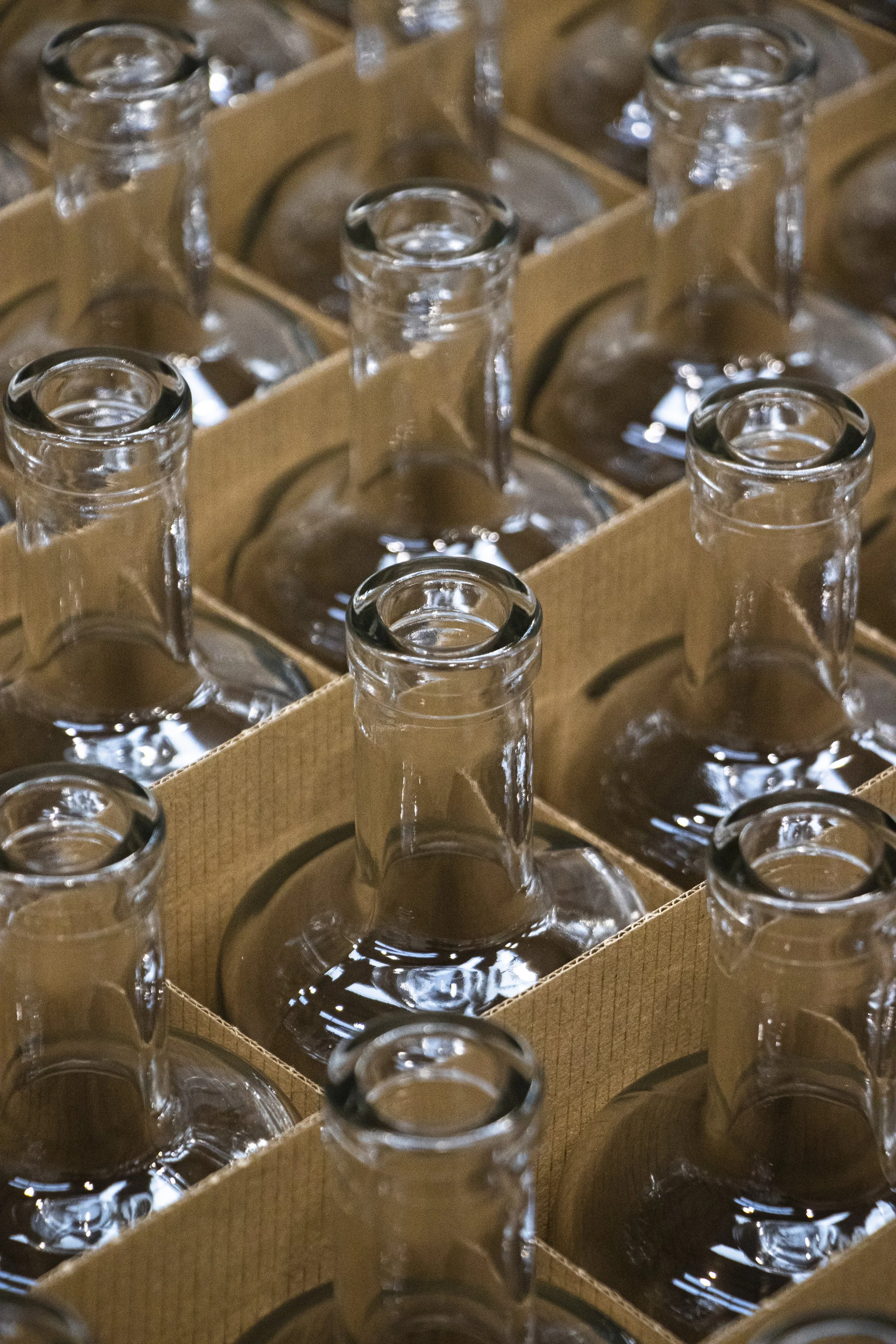Supply, Storage & Distribution — Young Spirits