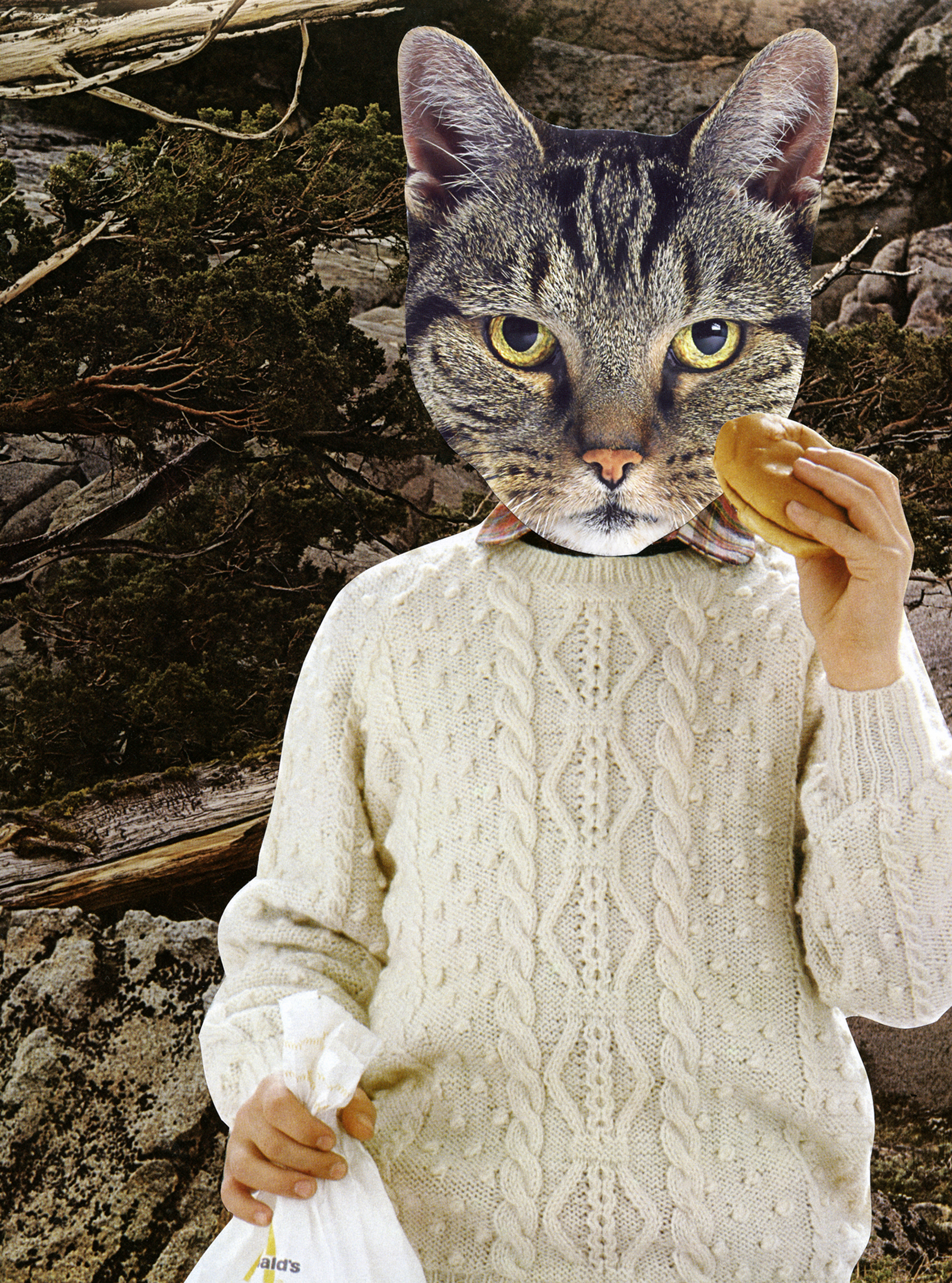 BurgerKitty.jpg
