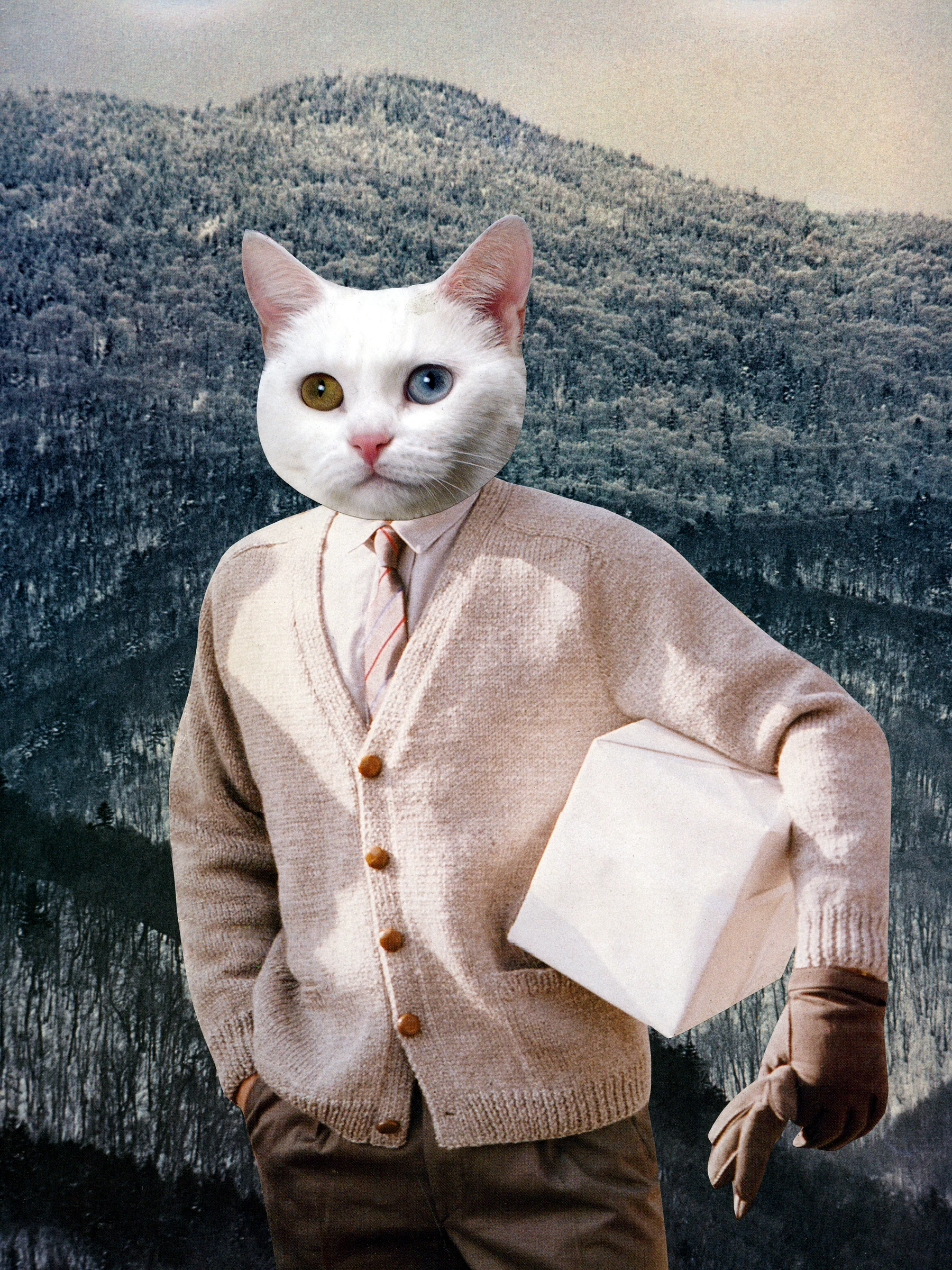 FedExKitty.jpg