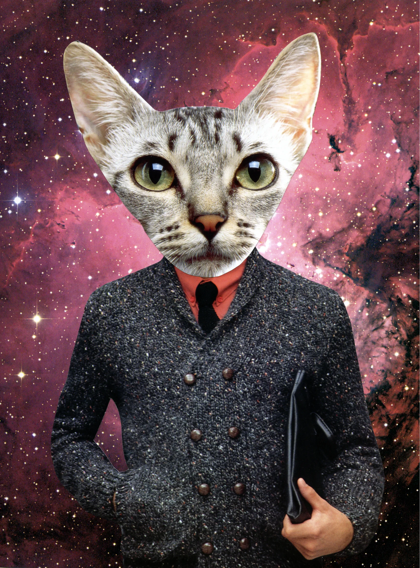 SpaceKitty.jpg