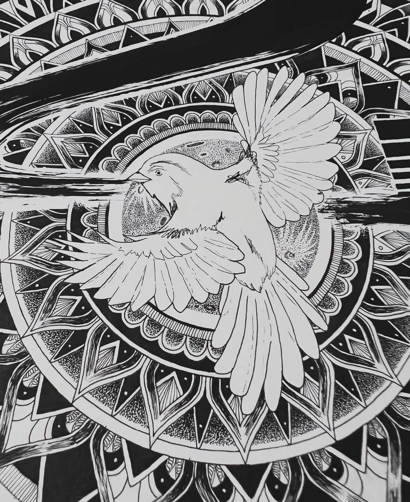 7AF242F7-B94F-412B-9014-2518302313BF