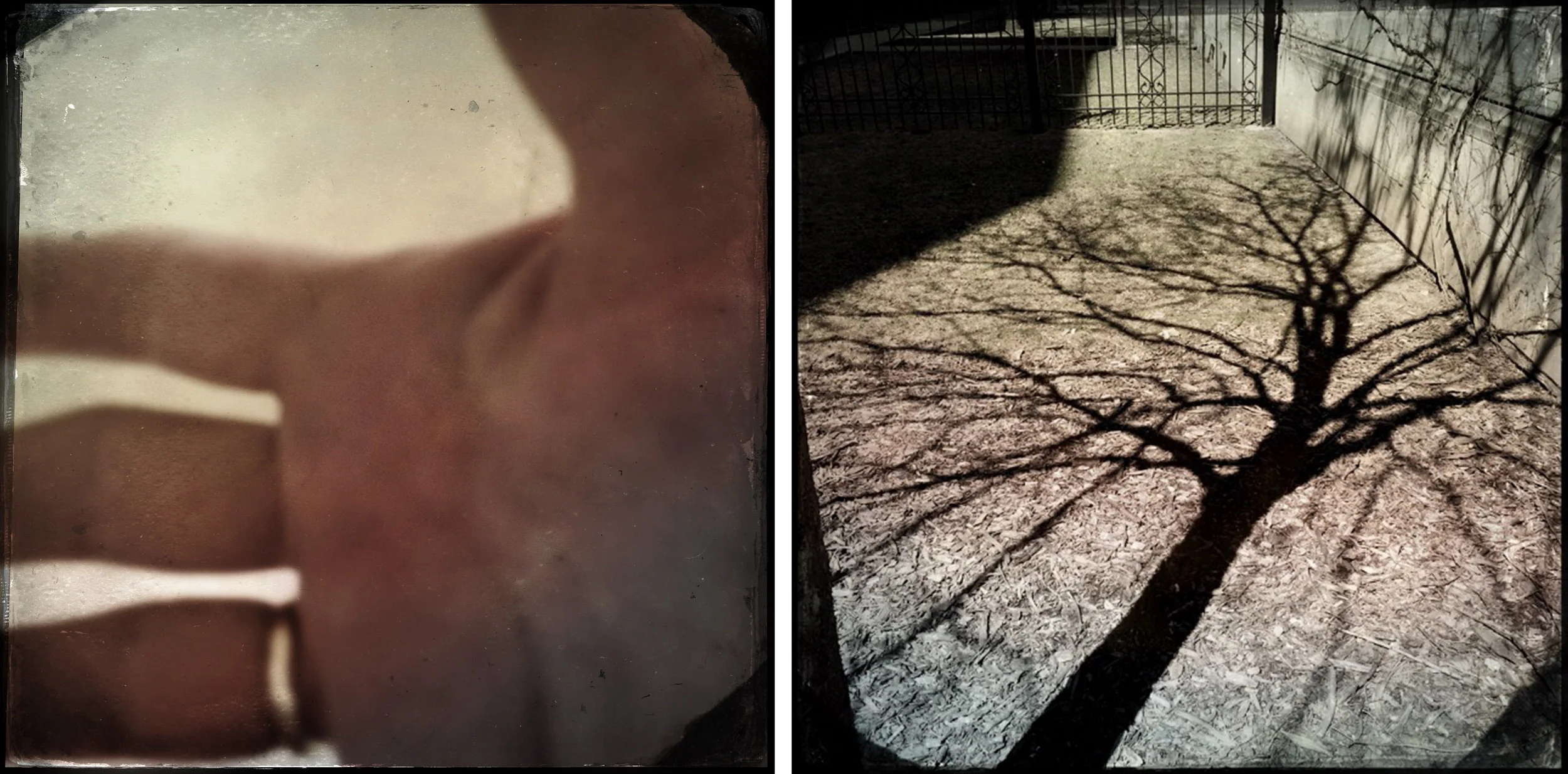 Farmilant_SeeYouOnTheOtherSide_Day27.jpg