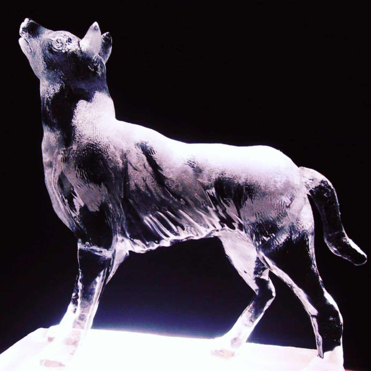 <p><strong>SCULPTURES</strong><i>View</i></p>