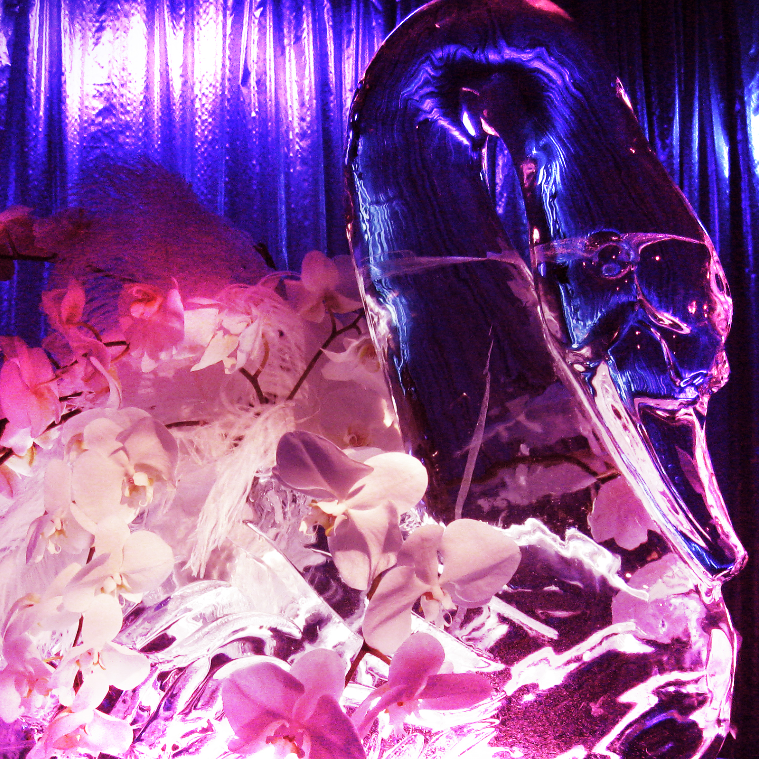 <p><strong>WEDDING</strong><i>View</i></p>