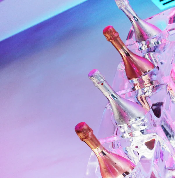 <p><strong>BOTTLE CHILLERS</strong><i>View</i></p>