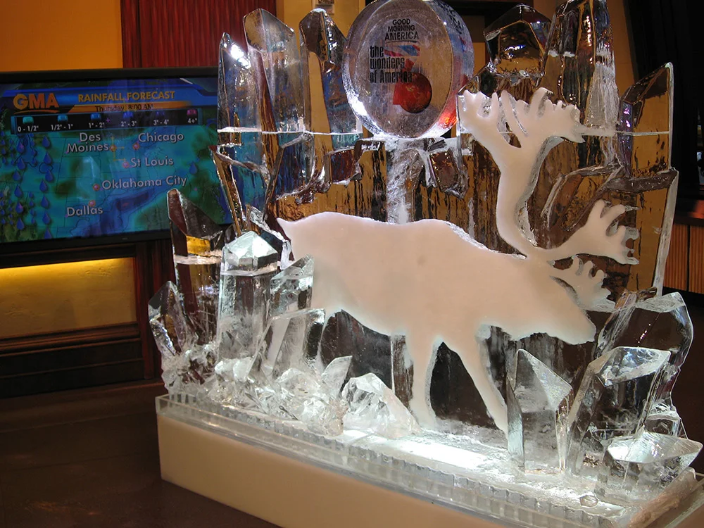 Backdrop Prop (Good Morning America)