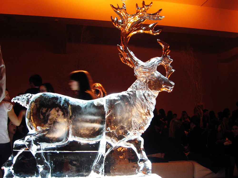 Reindeer