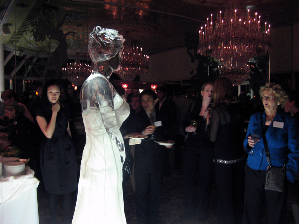Ice Bride (Martha Stewart Wedding)
