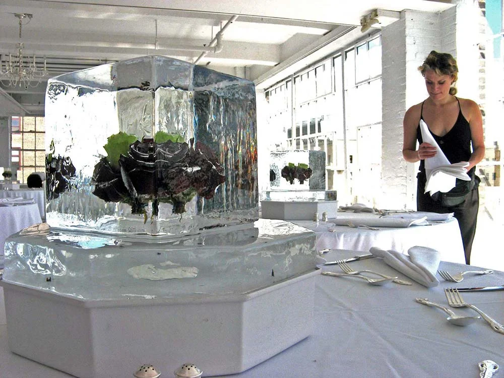 Frozen Flower in Giant Cube