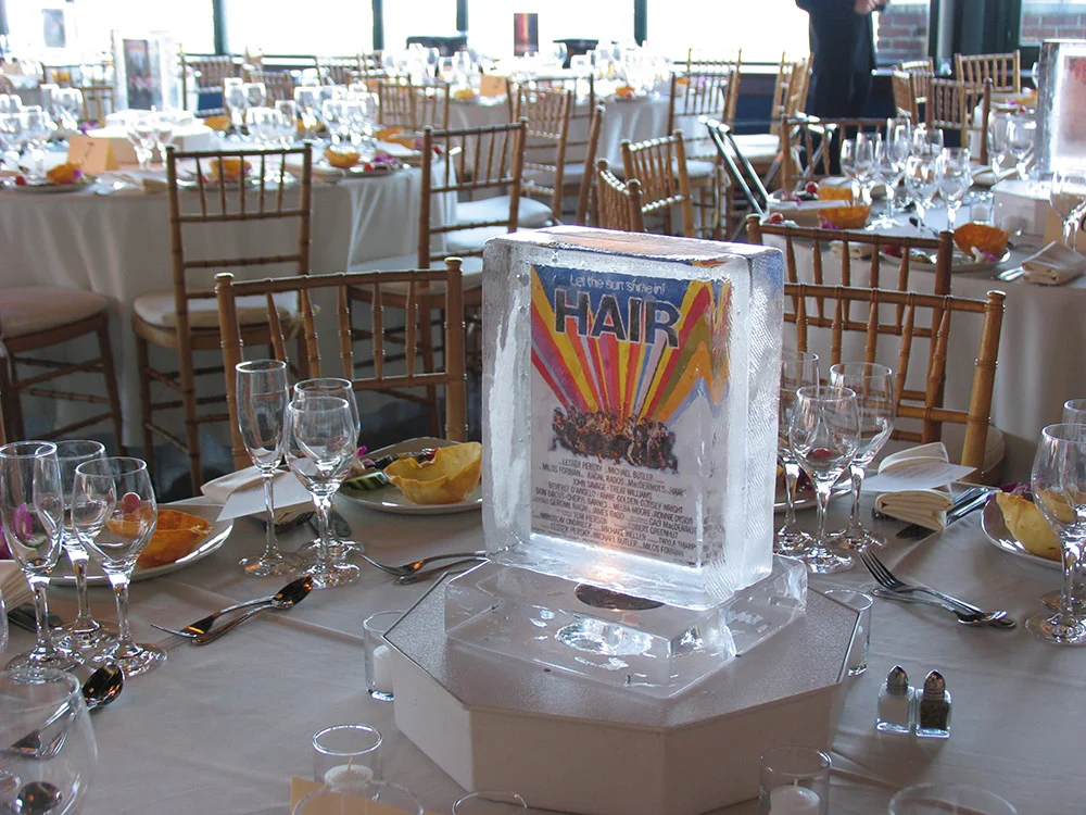 Logo Frozen Inside Block