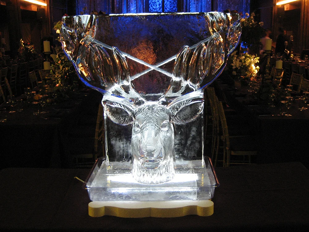 Deer Antler Luge Front