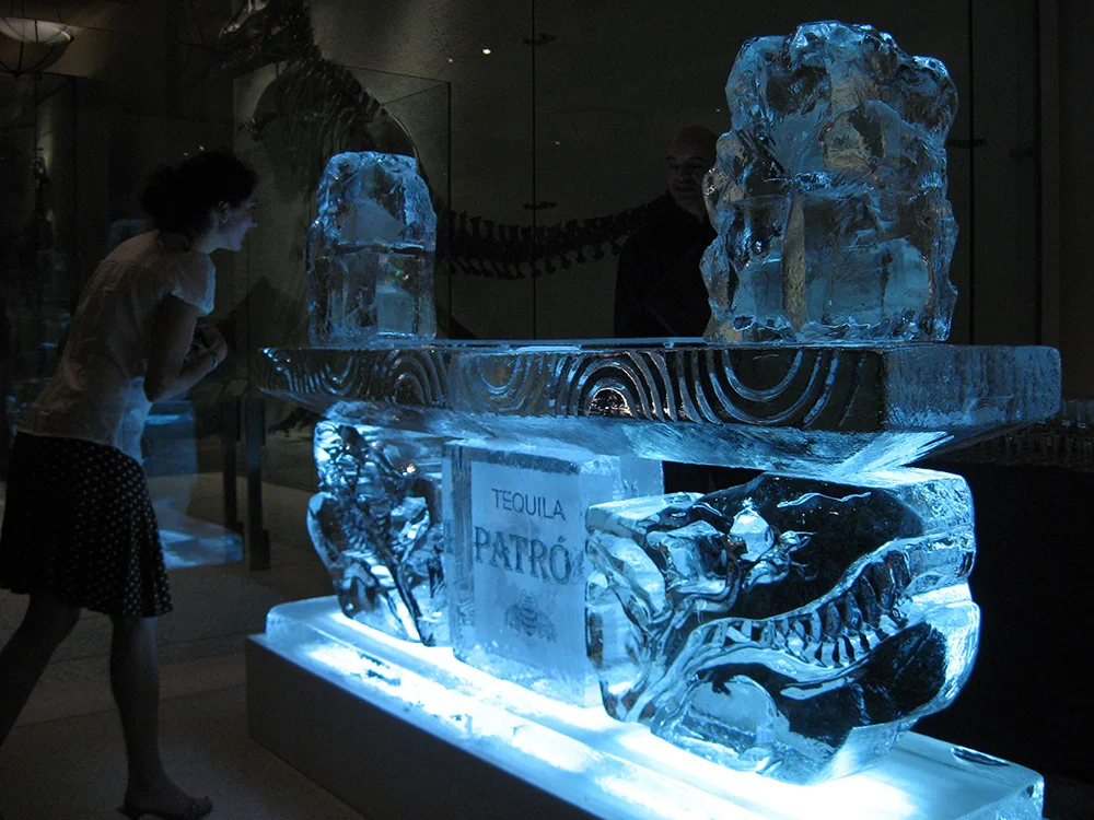 Ice Bar with Dragon Heads