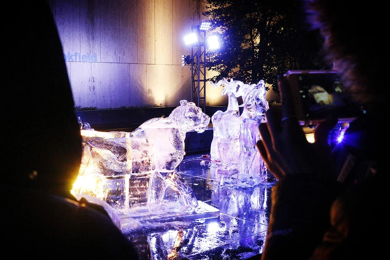 Animals Public Installation