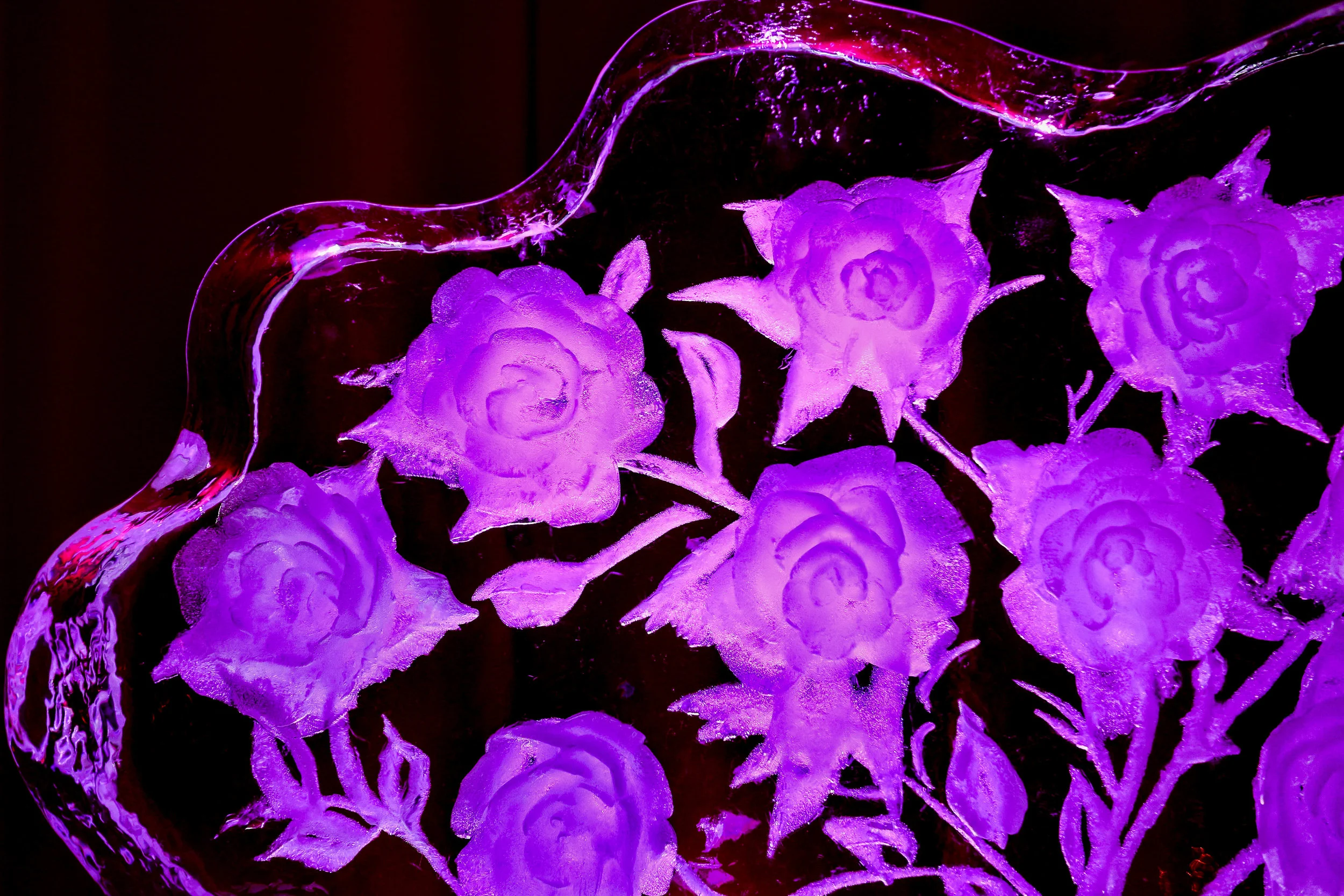 Snow-filled Roses