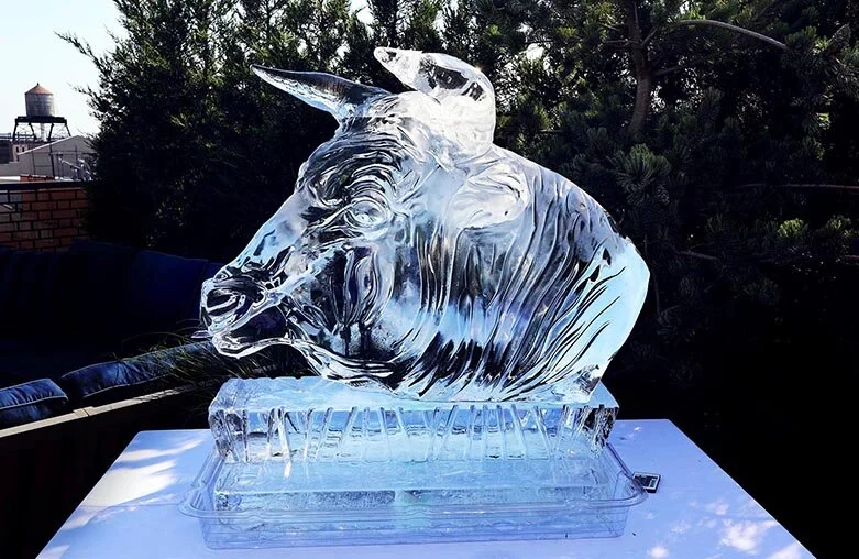 Animal Luge