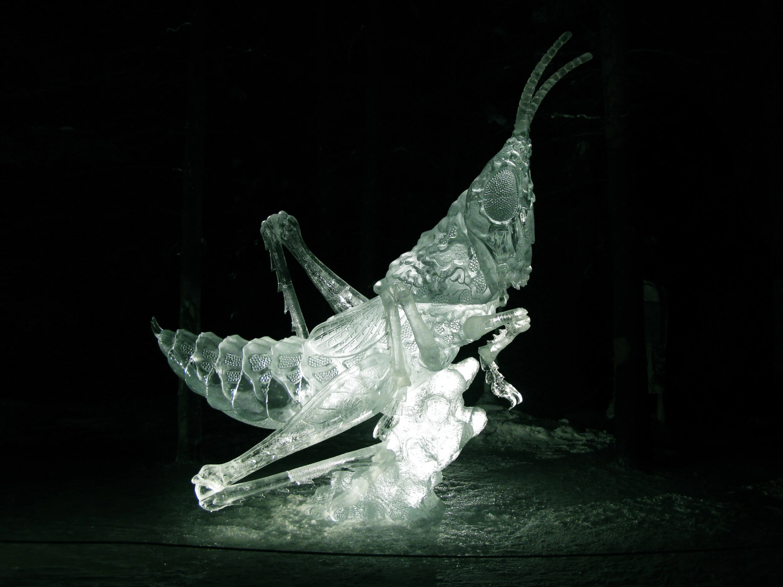 Ice Grasshopper Sculpture