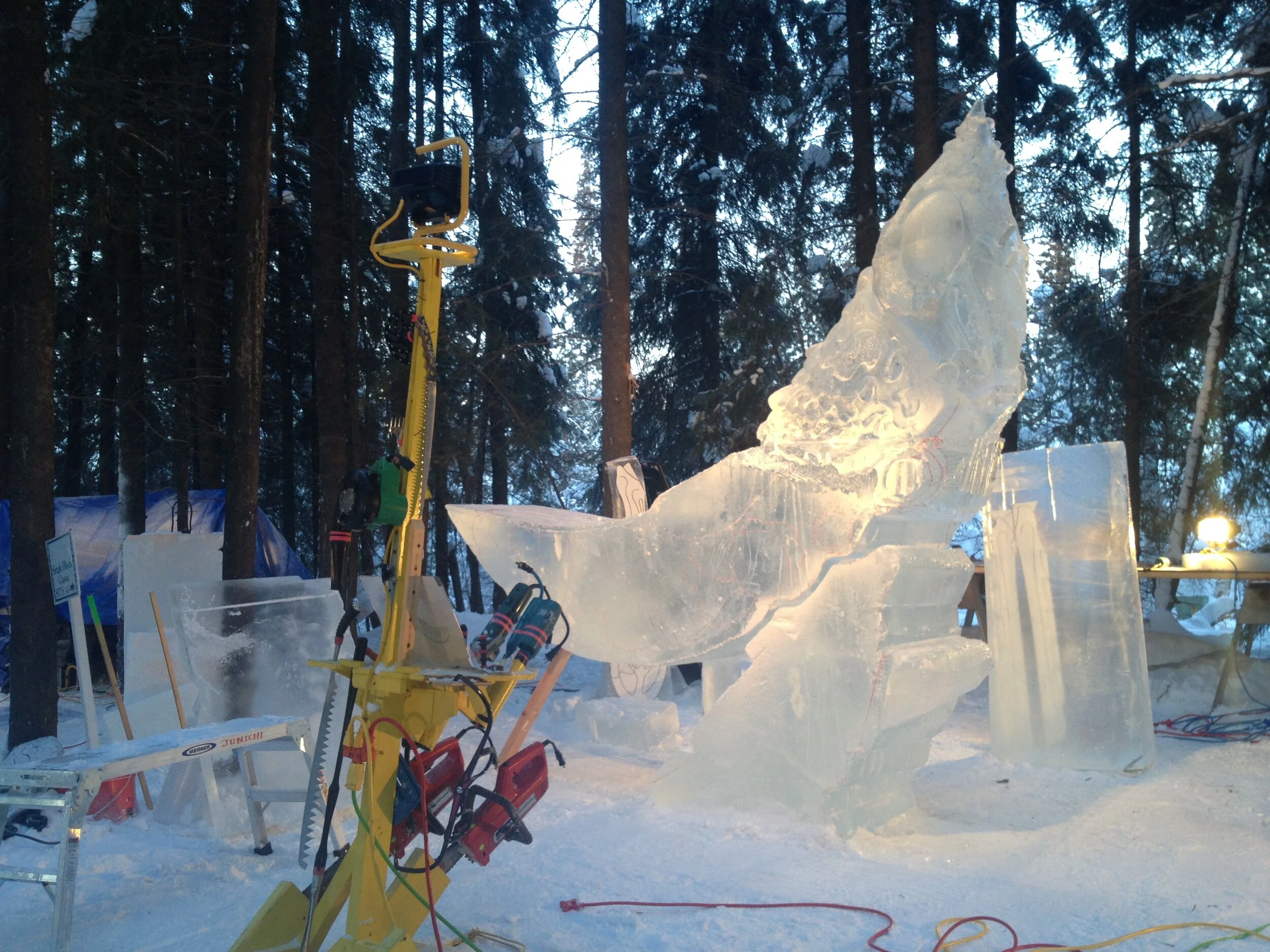 Ice GrassHopper Sculpture at Photo Shoot