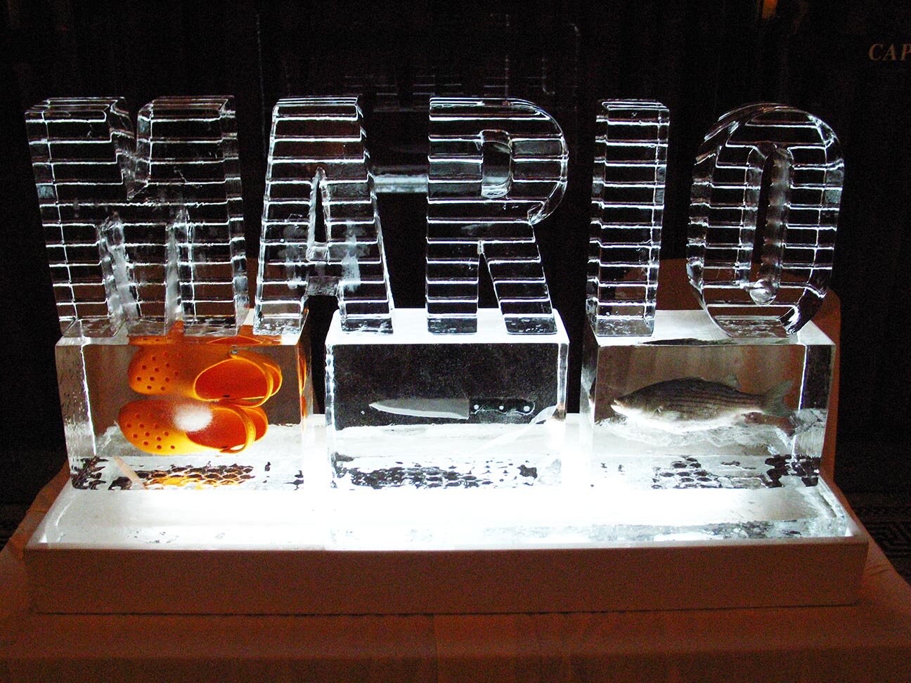 Ice Logo Frozen inside