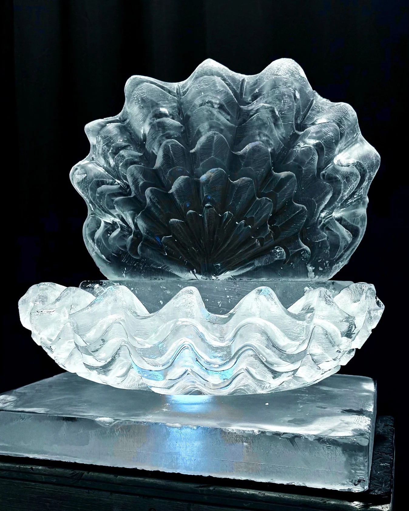 070926-Giant-clam-rawbar.jpg