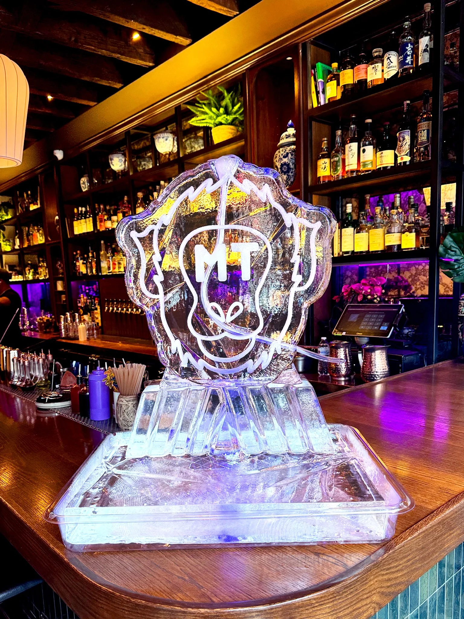 080326-monkey-thief-logo-luge.jpg