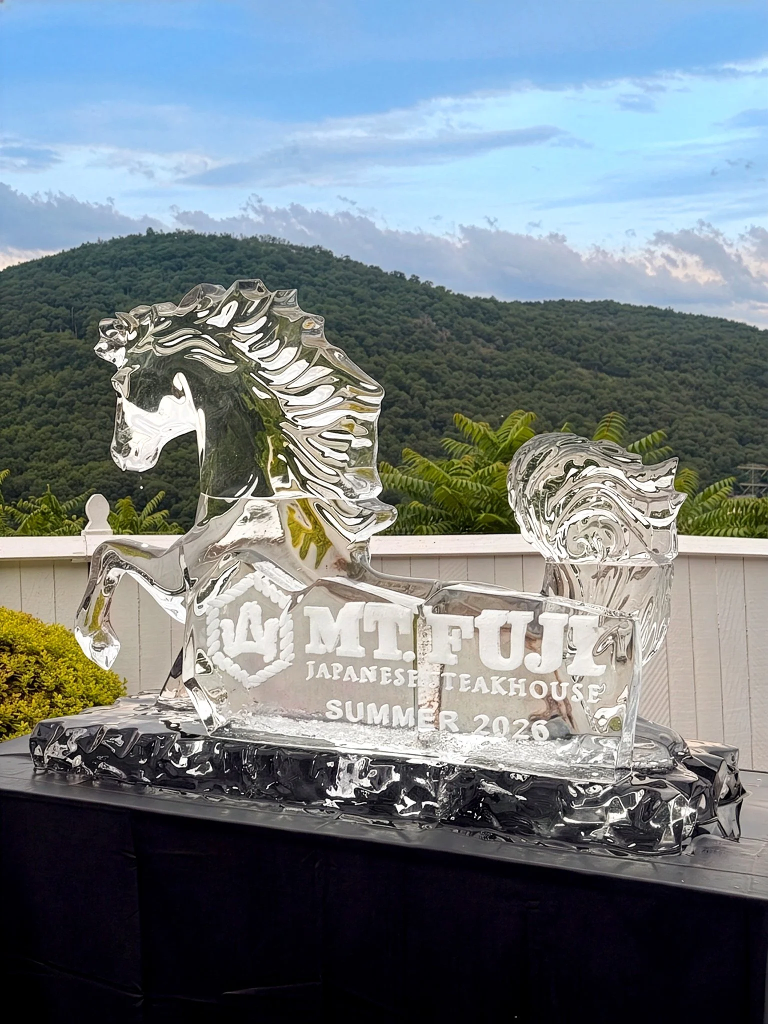 080326-horse-mt-fuji-logo.jpg