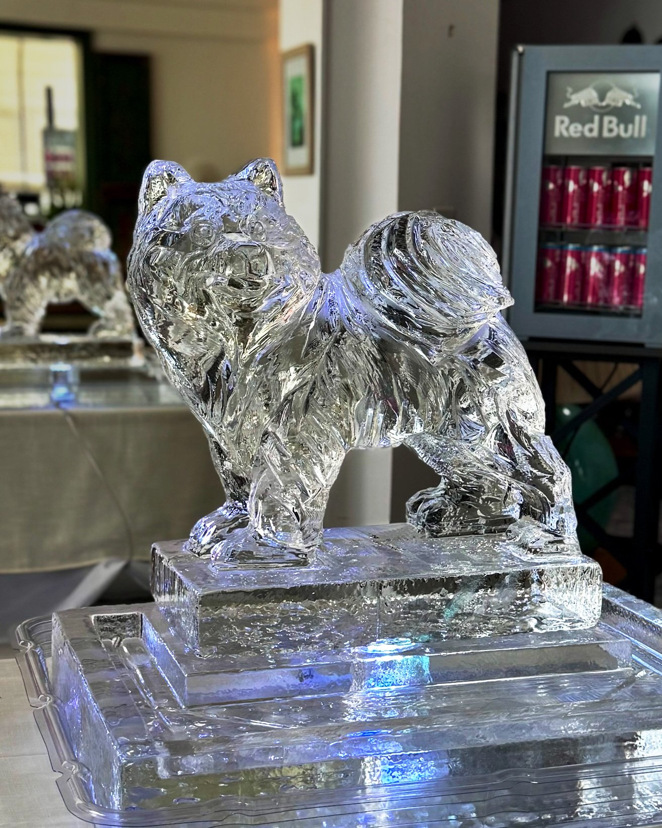 061225-3d-pet-dog-portrait-chiller-base.jpg