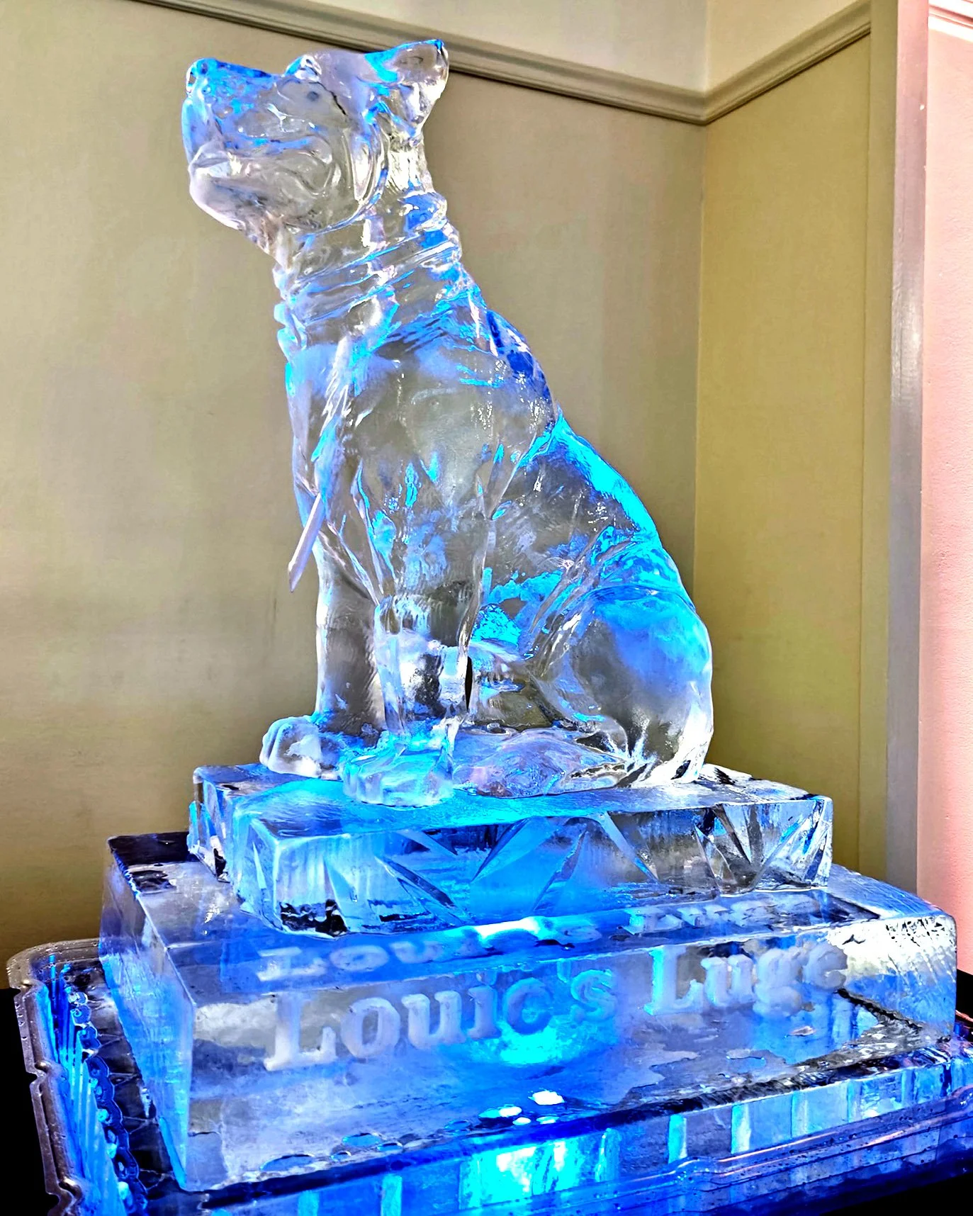 092626-dog-replica-louies-luge.jpg