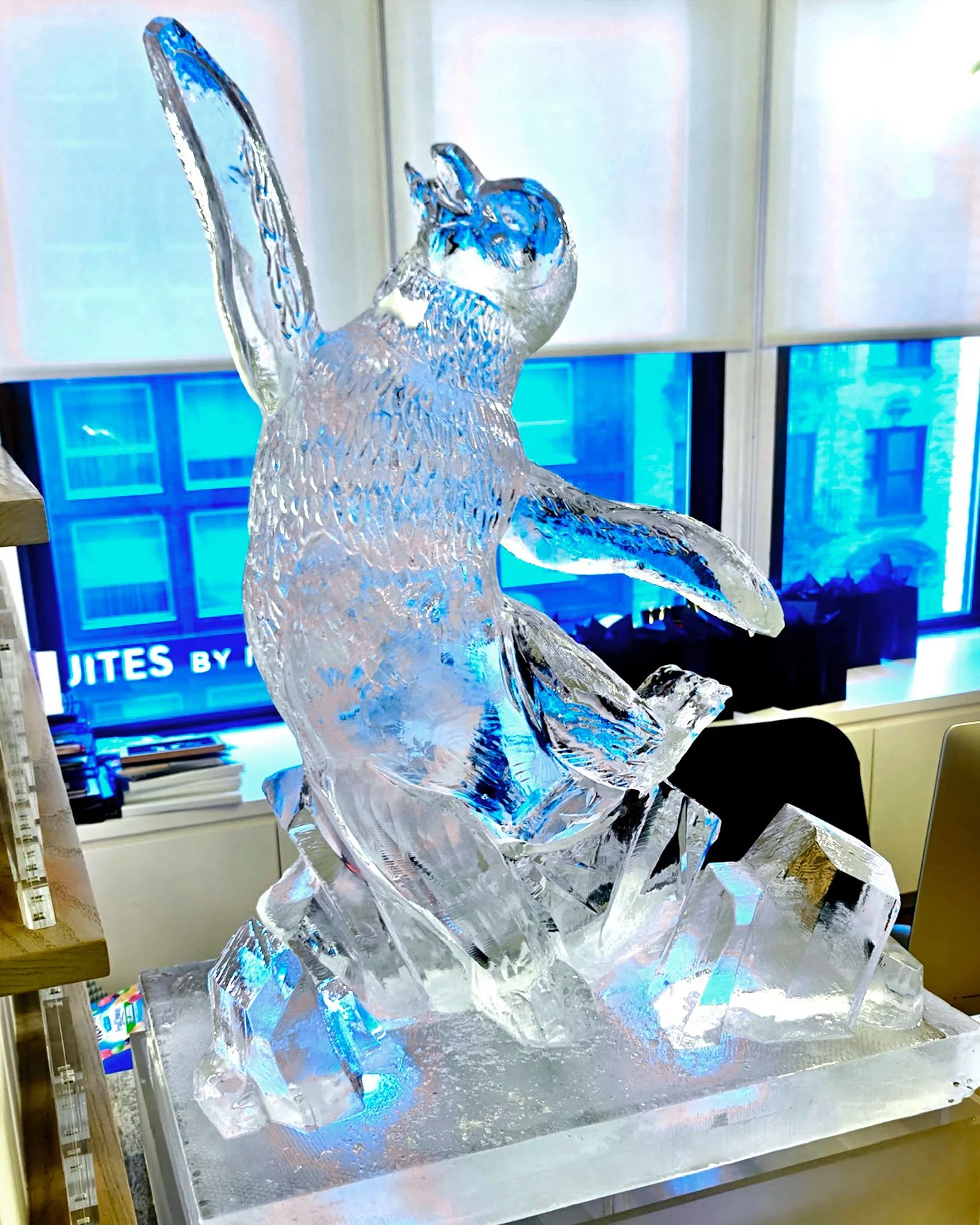 093026-3d-Penguin-happy-feet.jpg