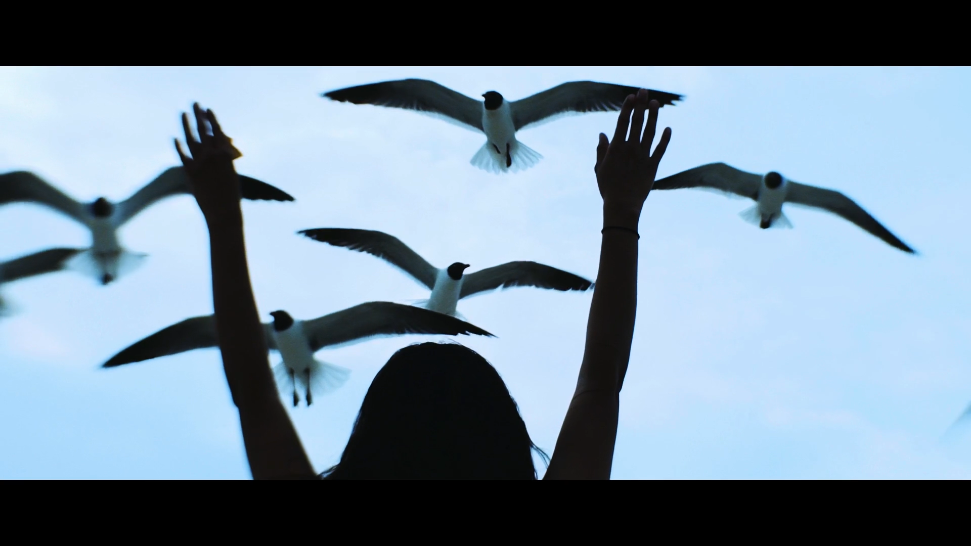Music Video Page Banner_good_field_-_surface_tension_Still.png