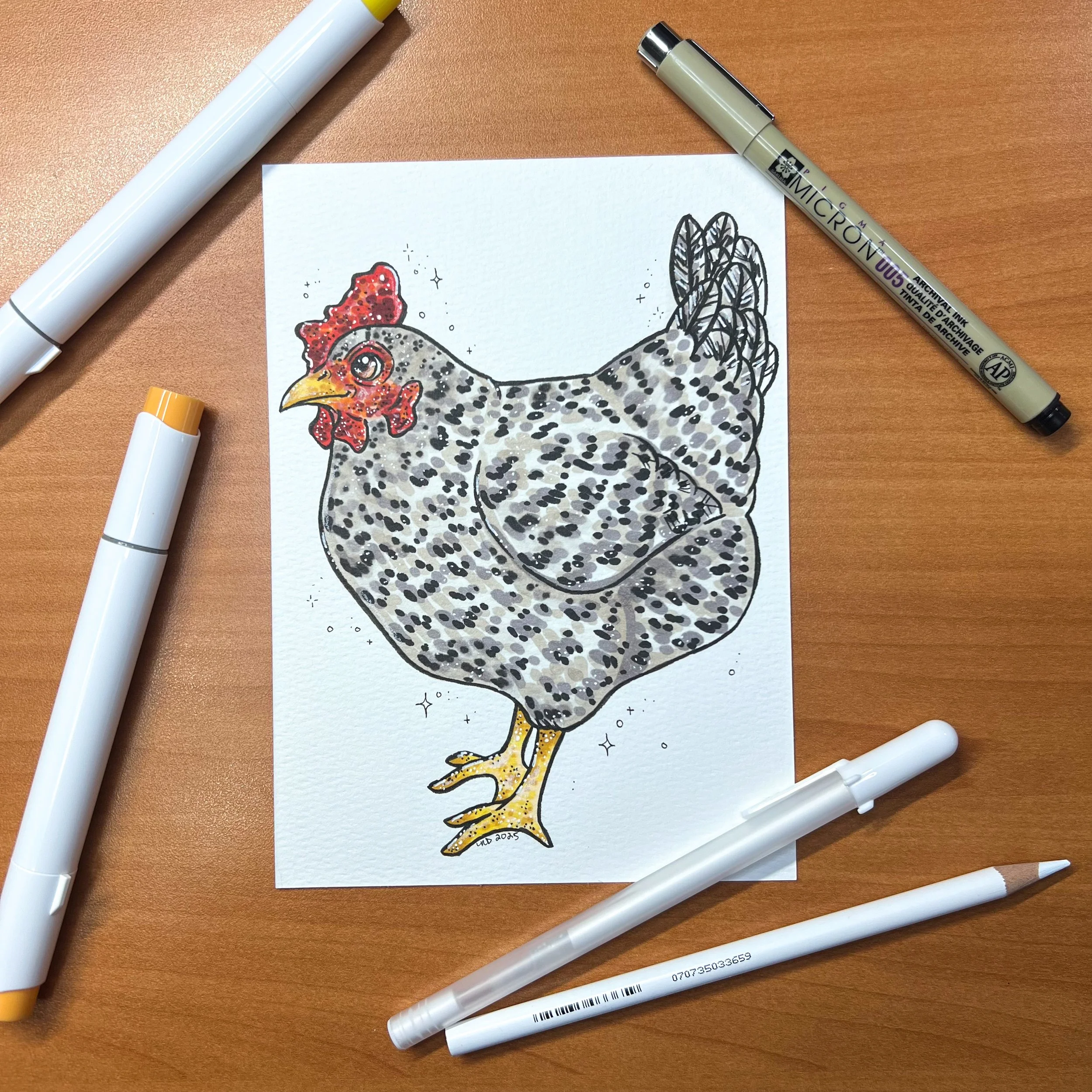 Barred Rock Chicken Original Marker Drawing 02