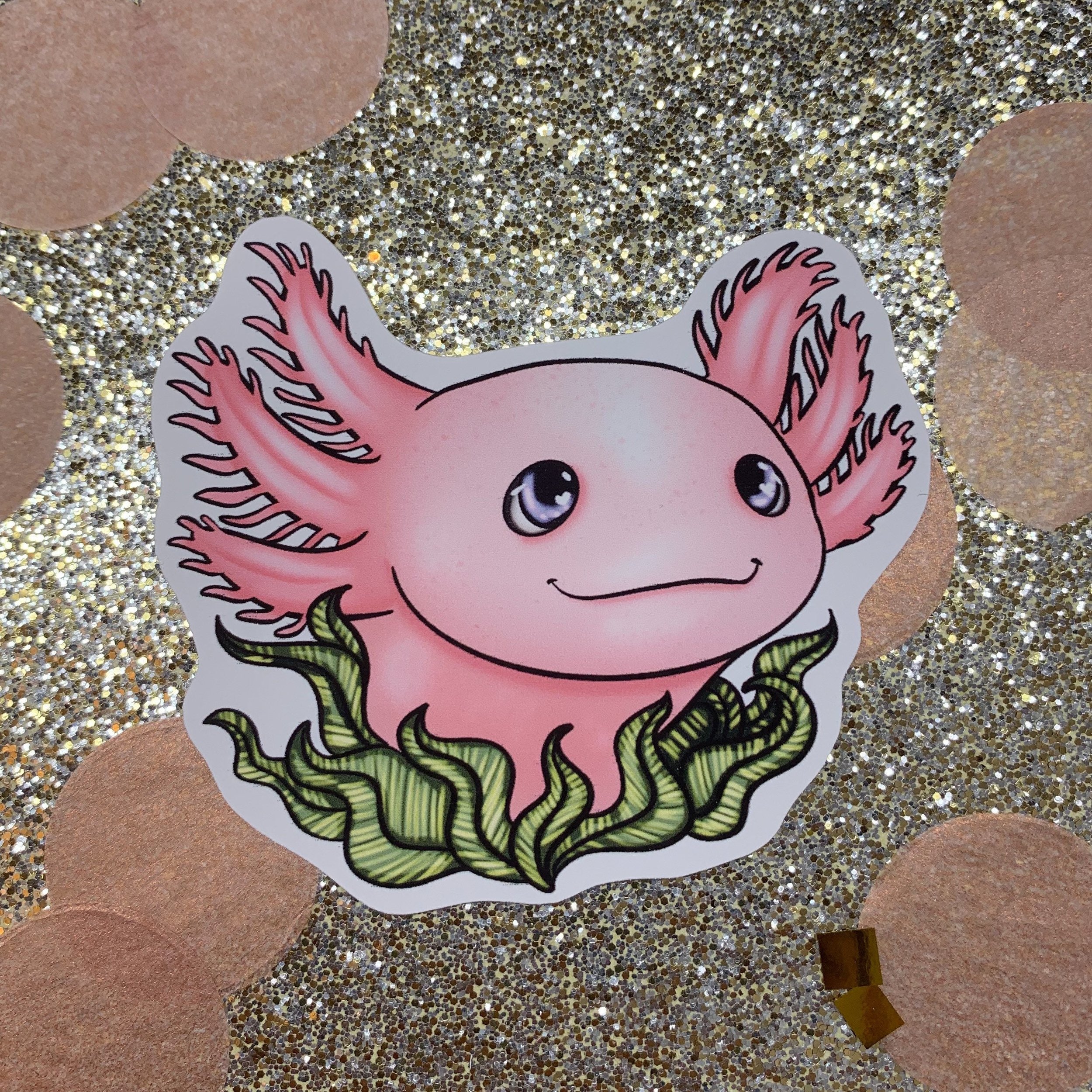 https://i.etsystatic.com/20141042/r/il/c94736/3449090019/il_fullxfull.3449090019_h65r.jpg