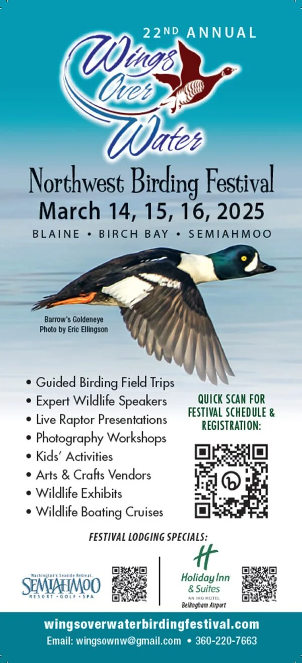 Wings Over Water Birding Festival