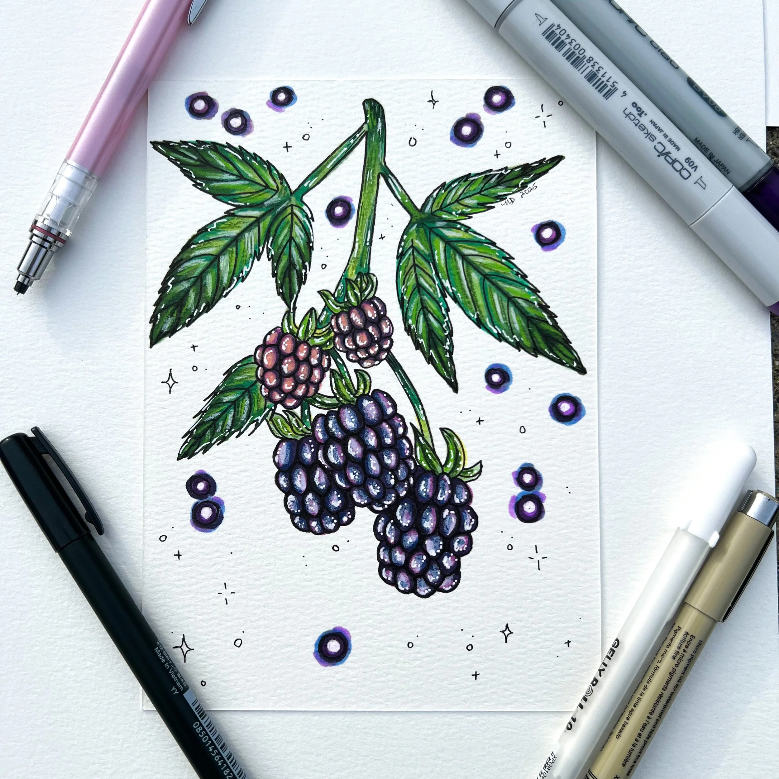 Blackberries Original Marker Drawing