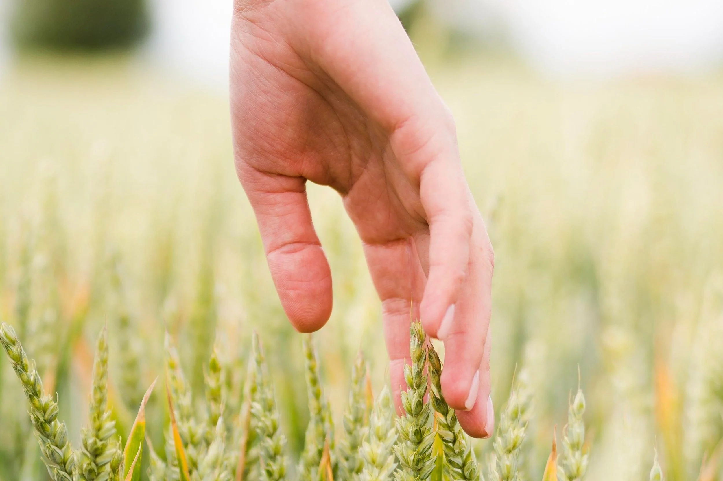 working sustainably