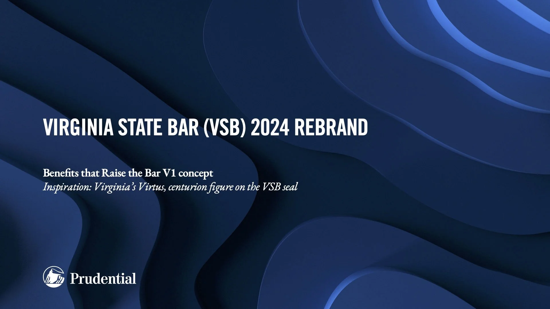 VSB 2024 Rebrand Concept Presentation.jpg