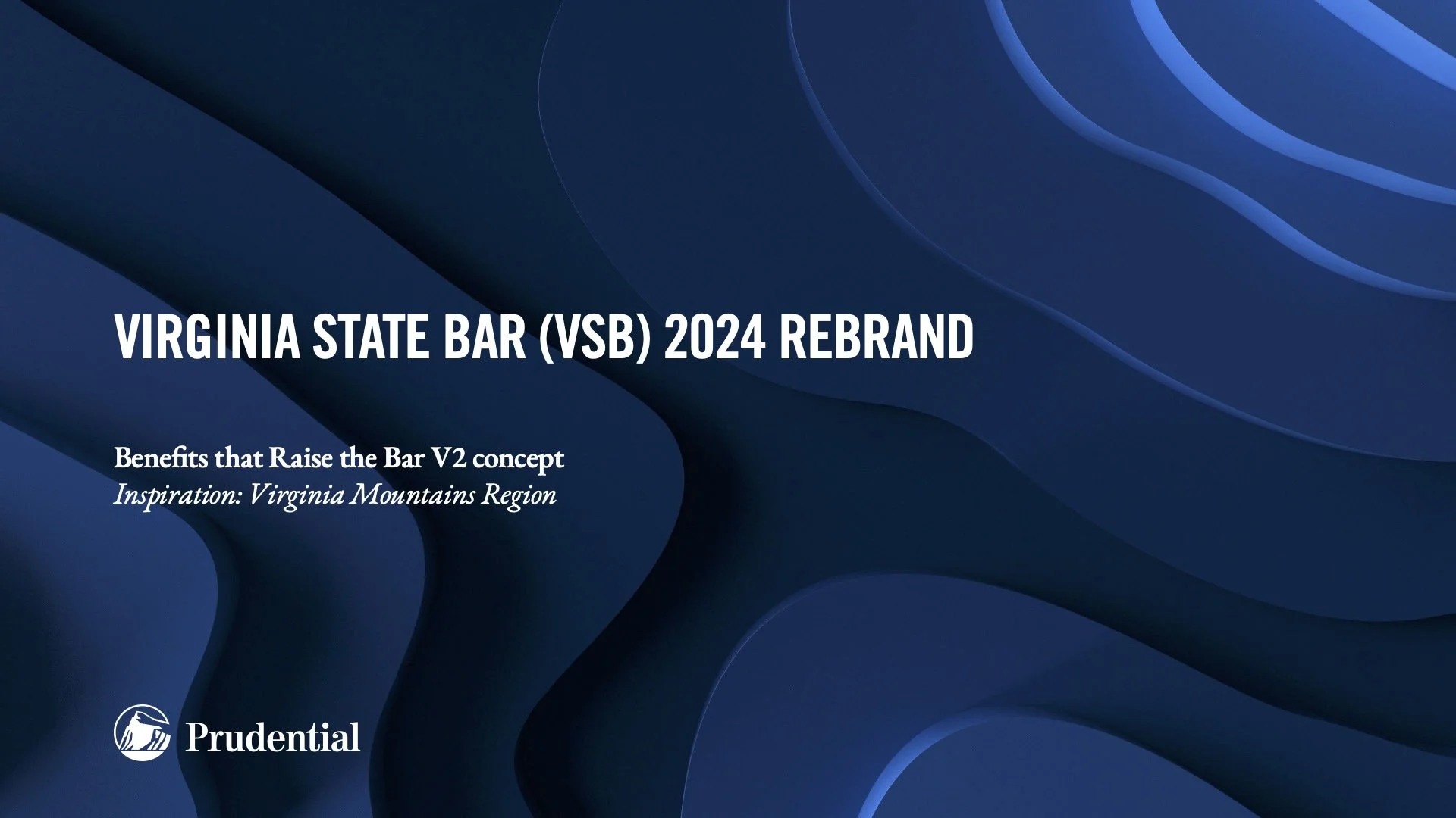 VSB 2024 Rebrand Concept Presentation13.jpg